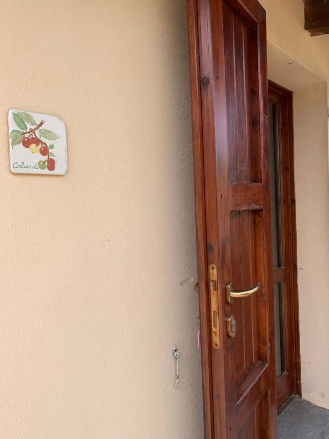 Agriturismo Terra Noas Villaurbana Buitenkant foto